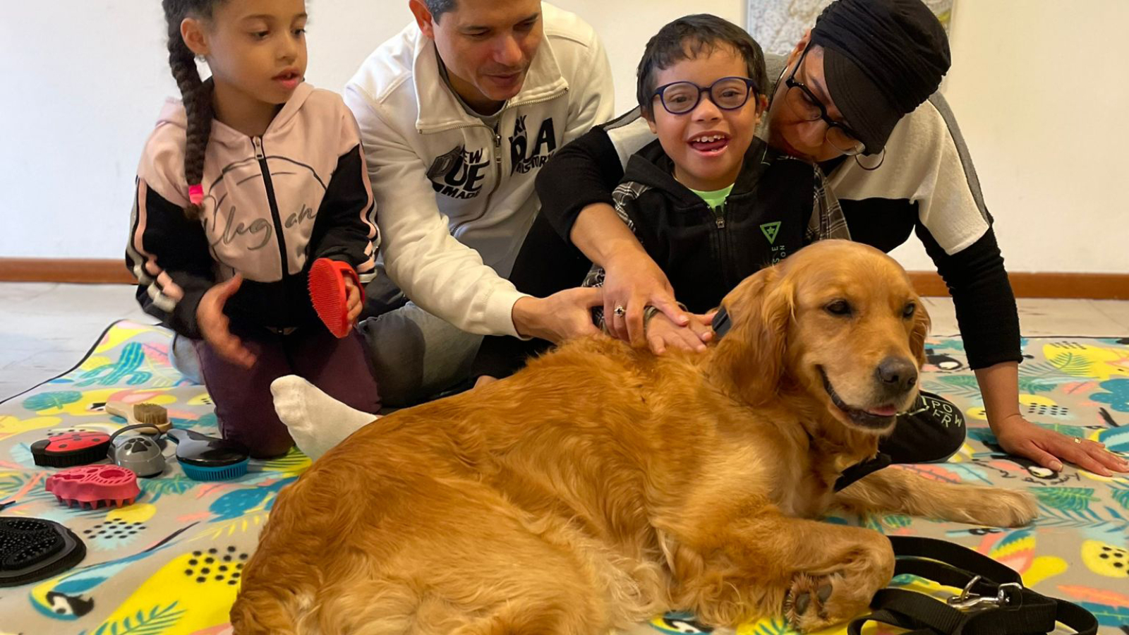 Pet Therapy Cane