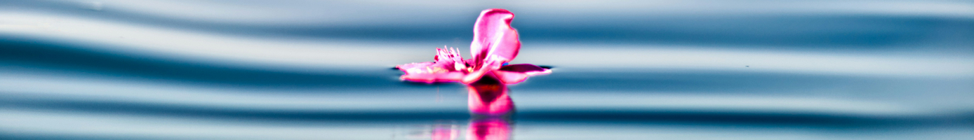 contatti-header