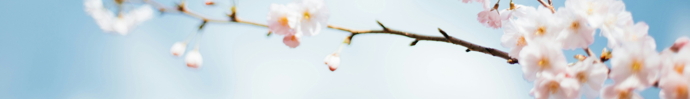 progetti-header